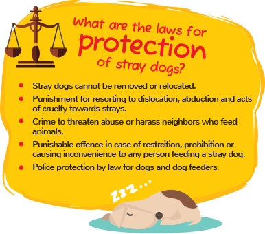 protection for stray dog feeders