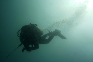 Into the deep