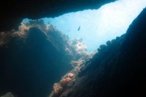 More of Labas swim-through