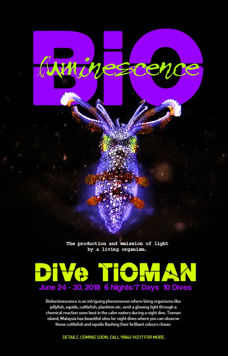 Dive Tioman Promotion