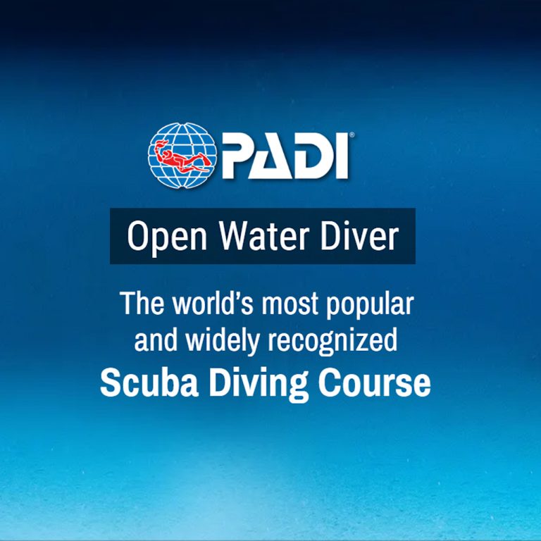 PADI Open Water Course Promo Video